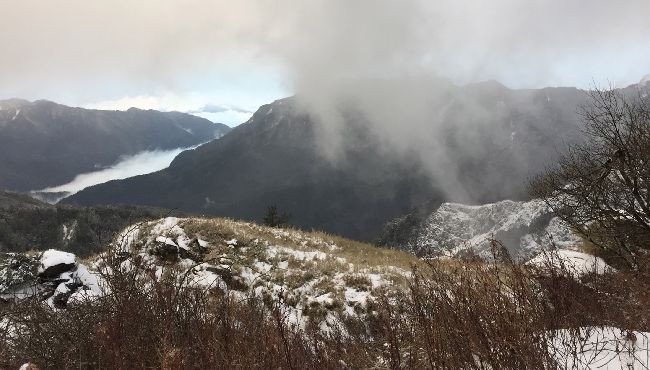 嗨翻！司馬庫斯、拉拉山飄雪冰霰了