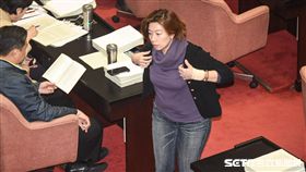 立法院召開臨時會審查勞基法修正草案，民進黨立委林靜儀。 圖／記者林敬旻攝