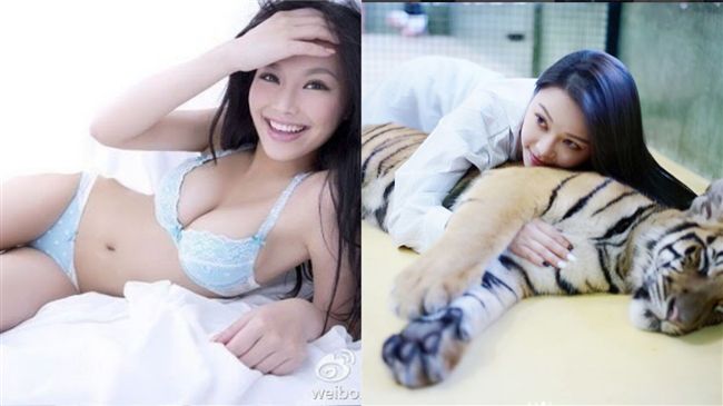 女星乳壓老虎　挨轟：跟強姦有差嗎？
