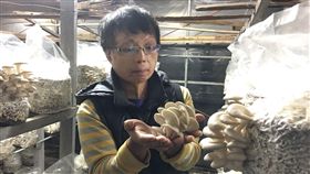 米大菇食，燒燙傷患者，鄭任凱。（記者郭奕均攝影）