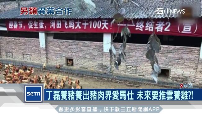 宣傳遊戲另類手法　傳網易要「養雞」