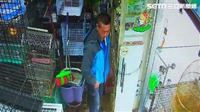 羅男竊價值16000元的灰鸚鵡幼鳥遭逮，還辯稱是雙胞胎弟弟偷的，警方訊後將他依竊盜罪送辦（翻攝畫面）