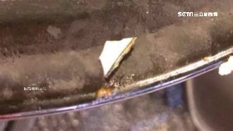 以為是蛋殼…她赴日式餐廳吃到碎瓷片