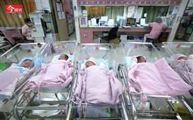 今周刊／名家勿用