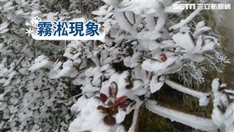 寒流主力殺到！明全台仍極凍週日回暖