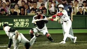 阪神虎隊新庄剛志曾將敬遠球打成再見安打（圖／翻攝自推特）