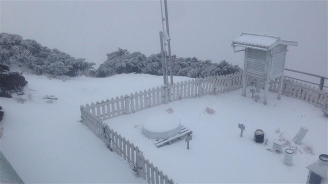 全台最冷！玉山低溫下探-13.5度