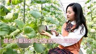 超ㄎ一ㄤ宣傳！玉女賣番茄卻捧洋香瓜