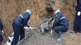 男子失蹤兩年，大批警方挖了半座山將屍體找出。（圖／翻攝澎湃之音微博）