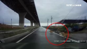 為閃躲汪星人失控翻！新車撞爛沒人賠