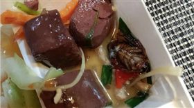 蟑螂,便當,台南（圖／翻攝自爆料公社）