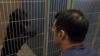 毛孩變療癒天使　陪伴更生人走出低潮