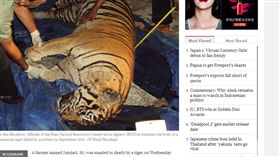 印尼,老虎,恐怖,員工,目睹,膝蓋,咬爛,棕櫚油,同事
http://www.thejakartapost.com/news/2018/01/04/oil-palm-farmer-mauled-to-death-by-tiger-in-riau.html