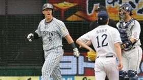 阪神隊前洋將Murton曾與郭俊麟因觸身球起衝突（圖／翻攝自YouTube）

