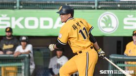 中信兄弟蔣智賢 圖／記者林敬旻攝