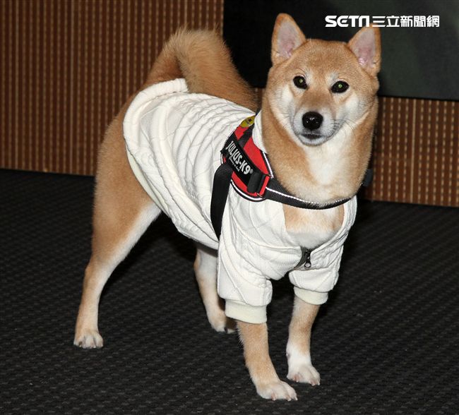 謝佳見「第二個家 見」新書發表會。（記者邱榮吉/攝影）