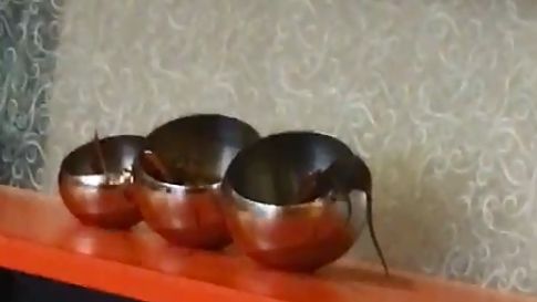吃火鍋衰遇老鼠　網崩潰：才剛吃進去