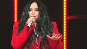 張惠妹（圖／台視提供）