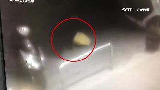 潮鞋遭竊失主怒報警　嫌犯竟不是人