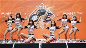 統一獅球迷會。（圖／統一獅提供）