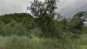 內湖康樂街山坡地（圖／翻攝自Google地圖）