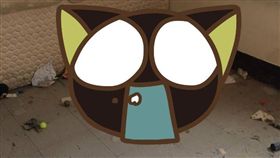 下個月要過年了，不少人開始大掃除，但有一名網友掀開床後，看到床底地板全布滿灰塵，讓他直呼「不想面對」，其他網友看到後引起共鳴，紛紛留言「我也不願意面對！」（圖／翻攝自爆廢公社）