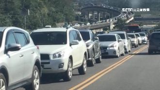 南投賞梅湧15萬人次　路程時間翻倍