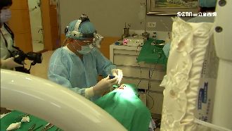 植牙單顆萬元起！醫搶客價差達3倍多