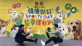 JR紀言愷與萌犬小胖妹 藜麥運動趴示範寵物健康操