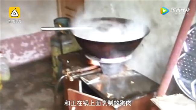 愛犬被擄走2小時　竟下鍋烹煮只剩皮