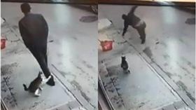 喵皇,貓咪,打招呼,問候,跌倒,毛孩　圖／翻攝自臉書