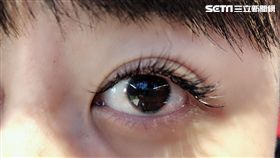 眼睛,（圖／蘇怡璇攝）
