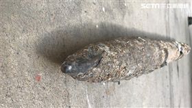 未爆彈處理小組人員丈量這顆充滿鏽蝕的未爆彈殘骸。（圖／翻攝畫面）