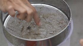 基隆最嚴重！綠色和平調查台灣海域含塑量超高　恐危及食安
圖／翻攝自影片
https://drive.google.com/file/d/1W62lT2kfvrbeqYlr1yFWhljfr3UpJPqY/view