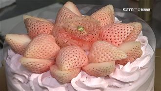 控金A？淡雪草莓蛋糕要價逾6千元