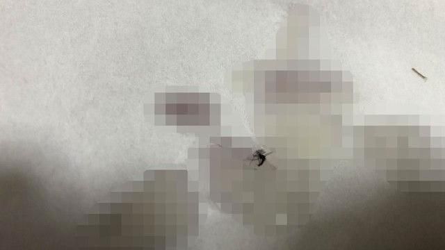 日男尻尻完善後　竟有蚊子飛入遭溺斃
