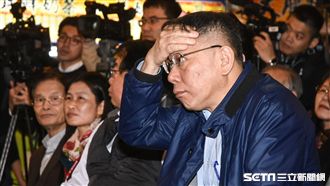 柯P談兩岸遭批　陳佩琪：不要霸凌他