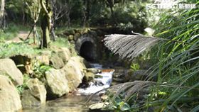 元旦,跨年,連假,遊樂場,景點,陽明山,大地工程處