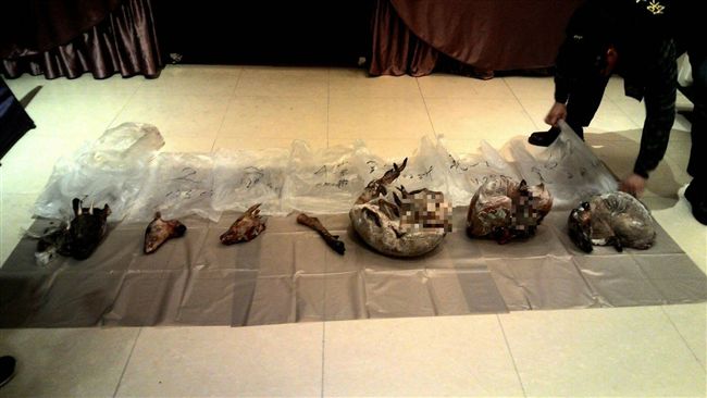 知名餐廳賣三杯穿山甲…冰櫃一開嚇歪