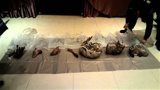 知名餐廳賣三杯穿山甲…冰櫃一開嚇歪