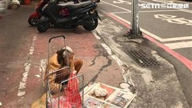 台南,女網友,台南諸事會社,阿婆,蒜頭,寒風