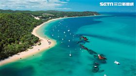 布里斯本必遊摩頓島  獨特體驗超震撼