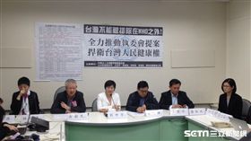 民進黨立委劉世芳等與台灣醫界聯盟基金會呼籲外交部,WHO,WHA(圖/記者李英婷攝)
