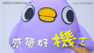 「懶得鳥你」抱枕自己做！機車臉萌翻