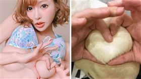 愛心奶,明日花綺羅,鴨子,Dcard,動物
（圖／翻攝自Dcard）