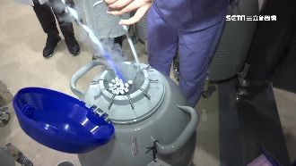 菲夫婦不孕跨海求子　試管嬰兒抱希望