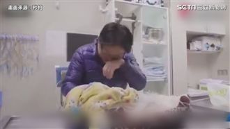 毛媽替年邁愛犬著衣　淚送最後一程