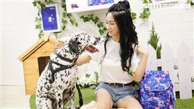 時尚,包包,包款,品牌,Kipling,狗年,大麥町迷彩藍