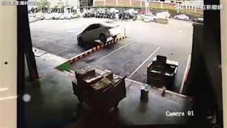 三寶直衝護欄　網虧：吃了無敵星星？