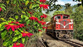 阿里山小火車,森林鐵路。（圖／台鐵提供）